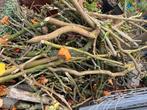 Brandhout, Tuin en Terras, Brandhout, Minder dan 3 m³, Ophalen, Overige houtsoorten, Takken