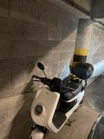 Elektrische scooter NIU M+ Sport B-klasse, Fietsen en Brommers, Scooters | Overige merken, Ophalen of Verzenden