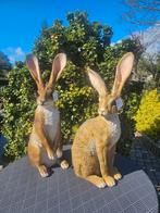 Polyester beelden Hazen, Tuin en Terras, Ophalen, Nieuw, Kunststof, Dierenbeeld