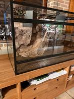 Terrarium 81x45x55, Enlèvement, Comme neuf