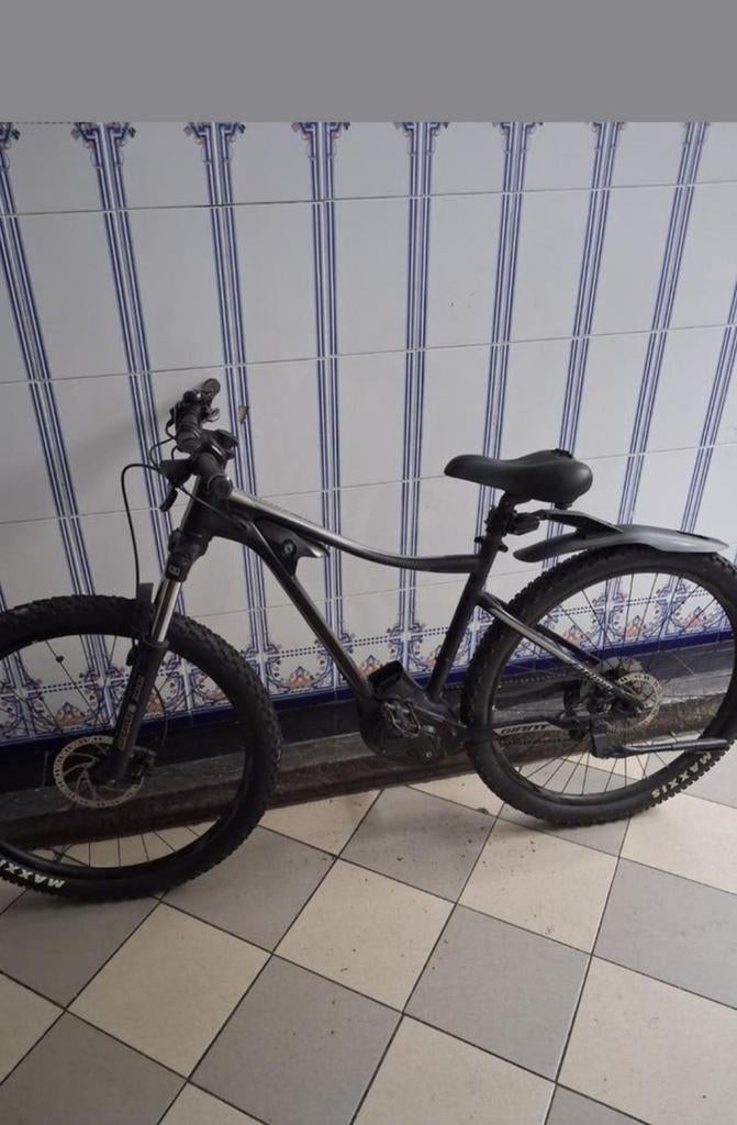 Elektrische mountainbike, Ophalen of Verzenden, Giant