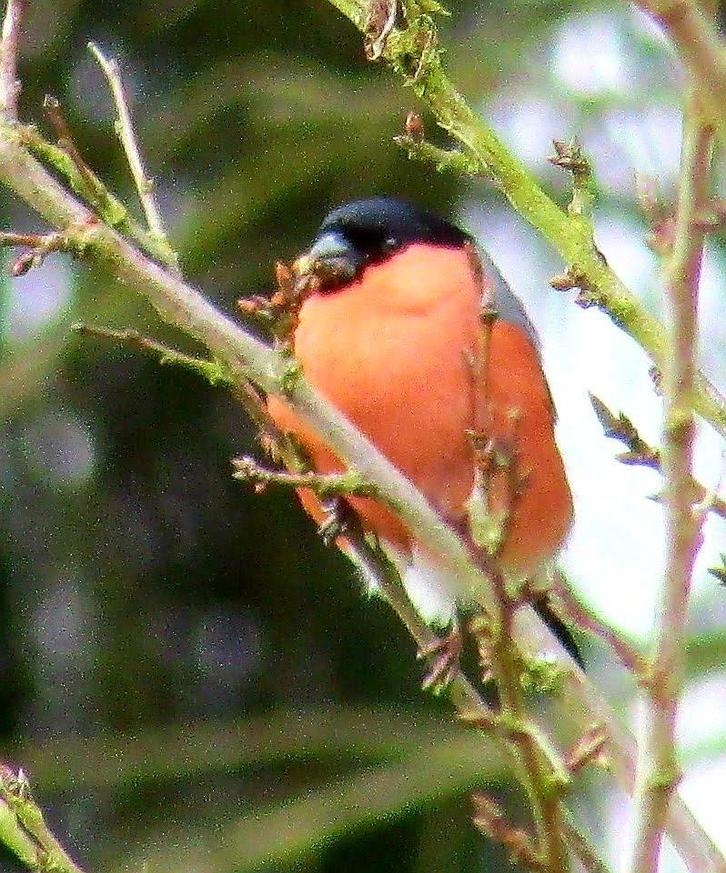 Cherche Aide de ménage, Offres d'emploi, Emplois | Travail à domicile, Convient comme travail d'appoint, Autres horaires