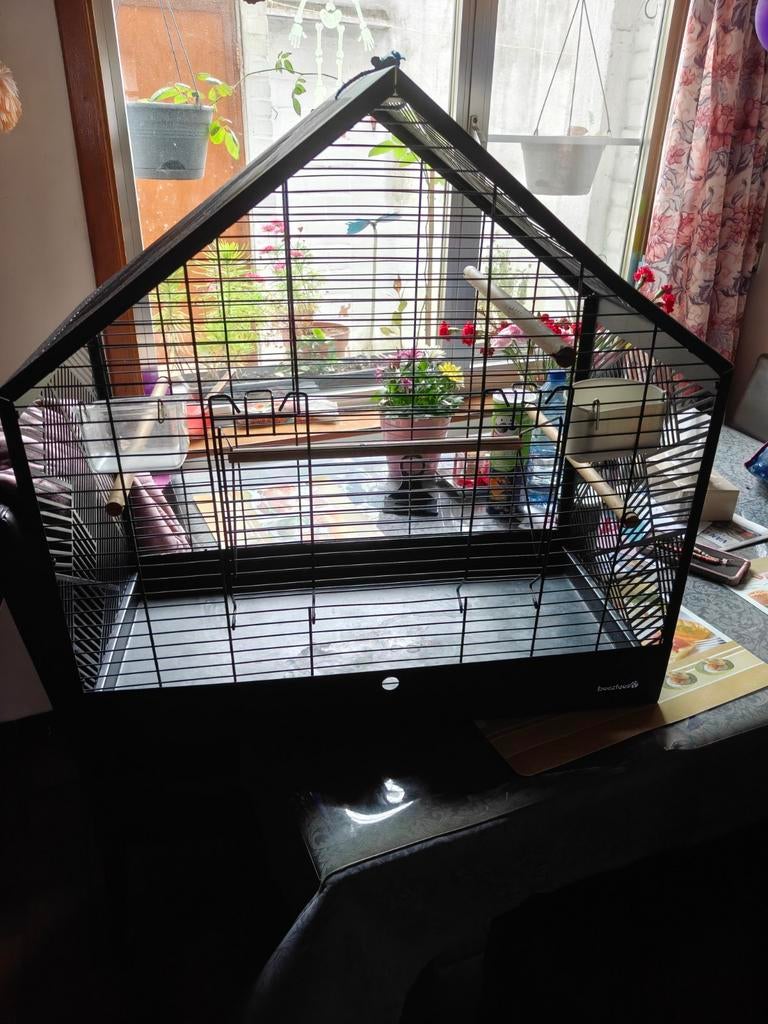 Papagaai kooi, Ophalen of Verzenden