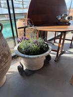 Terracotta groot, Ophalen, Gebruikt, X, X