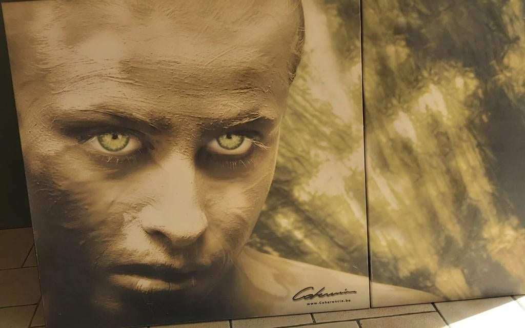 Blikvanger, Antiek en Kunst, Ophalen