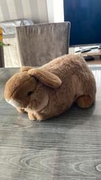 Paashaas, Diversen, Ophalen, Zo goed als nieuw