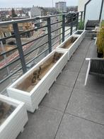 Grande jardinière en bois 180x40x36 (176) cm!, Neuf, 100 cm ou plus, Rectangulaire, Balcon