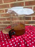 De glazen pot +SCOBY+ startvloeistof, Ophalen