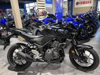 Yamaha MT-03, Entreprise, 320 cm³, 12 à 35 kW, Naked bike