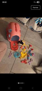 Set vétérinaire Minnie, Enlèvement