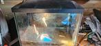Te koop aquarium, Dieren en Toebehoren, Ophalen