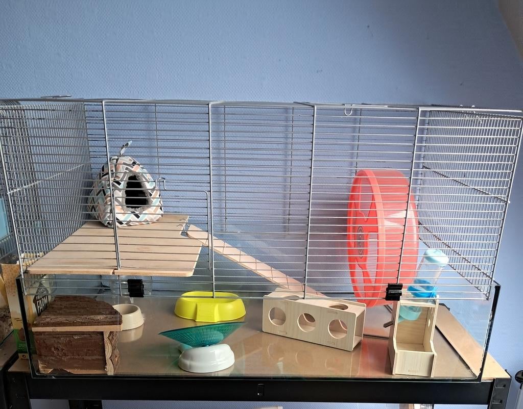 Groot hamster kooi, Dieren en Toebehoren, Kooi, Gebruikt, Hamster, 75 tot 110 cm