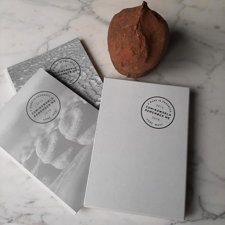 Koen Vanmechelen CWXRM + beeldje, Boeken, Kunst en Cultuur | Beeldend, Zo goed als nieuw, Beeldhouwkunst, Ophalen of Verzenden