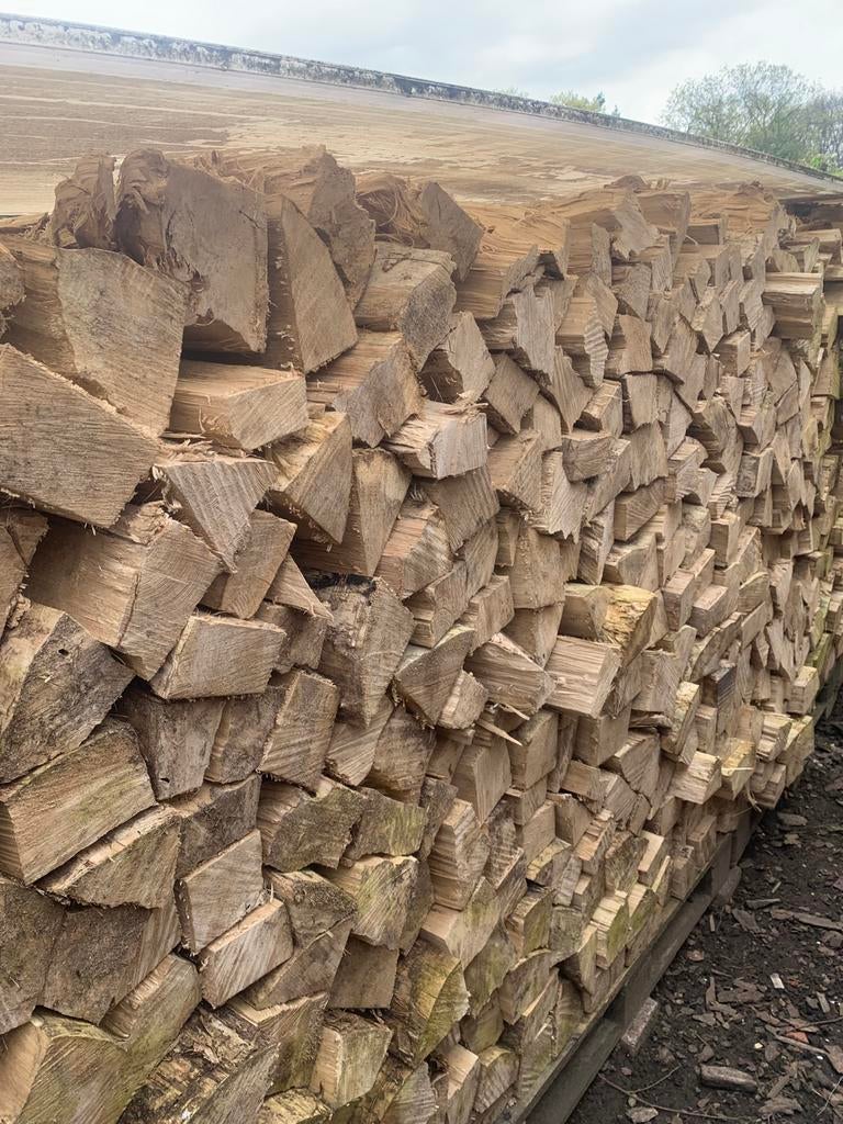 Droog brandhout te koop, Tuin en Terras, Ophalen, Blokken