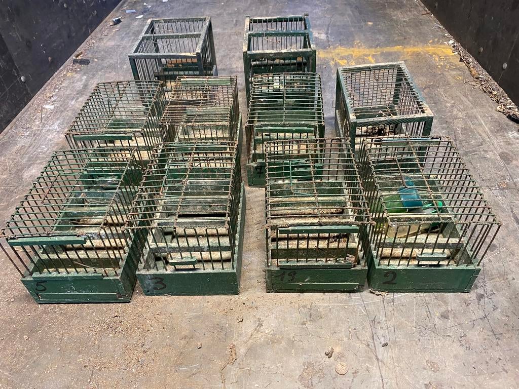 Lot de 10 cages d’oiseaux , Je suis de la région d’Herve, Enlèvement, Comme neuf