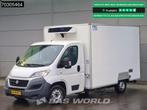 Fiat Ducato 150pk Koelwagen Zijdeur Carrier Xarios 350 230v-, Achat, Entreprise, 3 places, Boîte manuelle