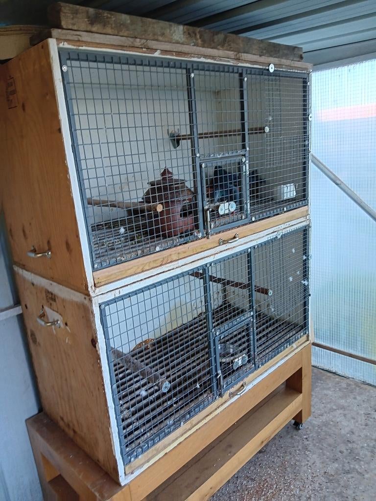 Cage d'élevage en fil métallique épais., Animaux & Accessoires, Enlèvement