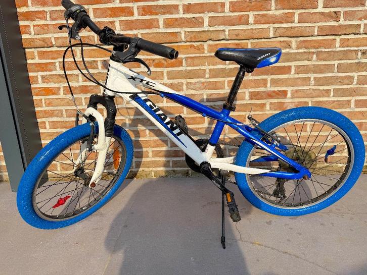 Vélo enfant Giant XTC 20 pouces, Vélos & Vélomoteurs, Vélos | VTT & Mountainbikes, Utilisé, Giant, VTT semi-rigide, Enlèvement