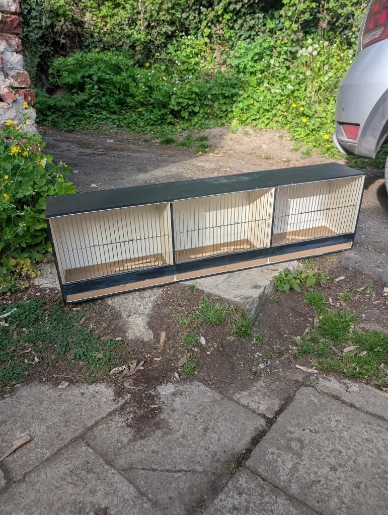 Cage oiseaux, Animaux & Accessoires, Oiseaux | Cages & Volières, Enlèvement, Utilisé, Bois, Cage d'élevage