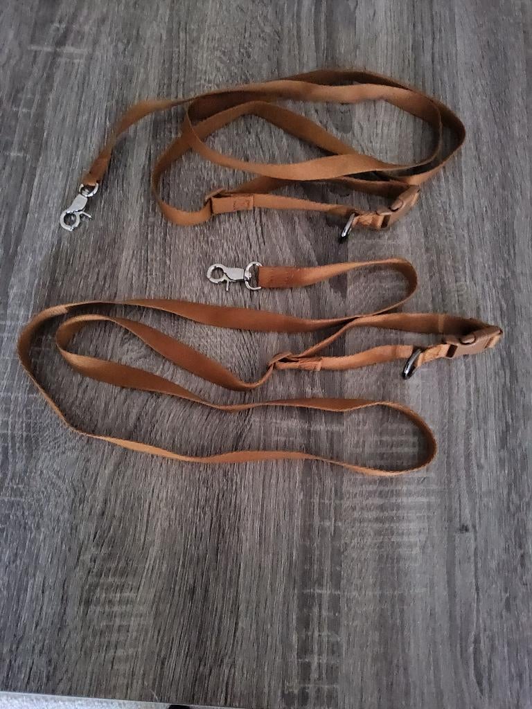 2 hondenriempjes en 1 riempje met harnas ( nieuw ), Dieren en Toebehoren, Ophalen, Nieuw, Hondenriem