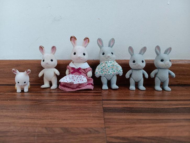 Set Sylvanian konijntjes, Verzamelen, Poppetjes en Figuurtjes, Ophalen of Verzenden