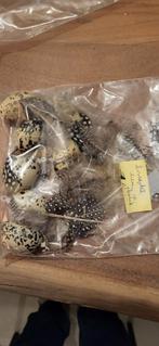 Paasdecoratie ,kwartel eieren in plastiek,pluimen, Diversen, Ophalen