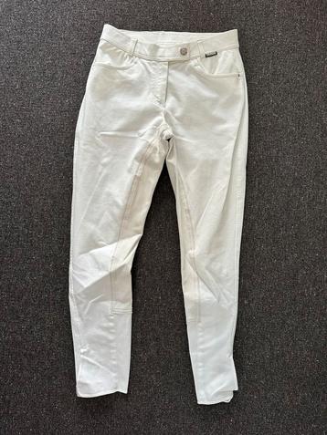 Wedstrijdbroek dames van HP Polo beschikbaar voor biedingen