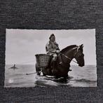 Oude postkaart : Garnaalvisser, Verzamelen, Postkaarten | Dieren, Ophalen of Verzenden