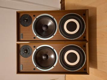 Célestion Ditton 15xr Rare nickel beschikbaar voor biedingen