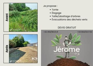 Jardin ,parc, plantation, taille haie,coup arbre ect beschikbaar voor biedingen