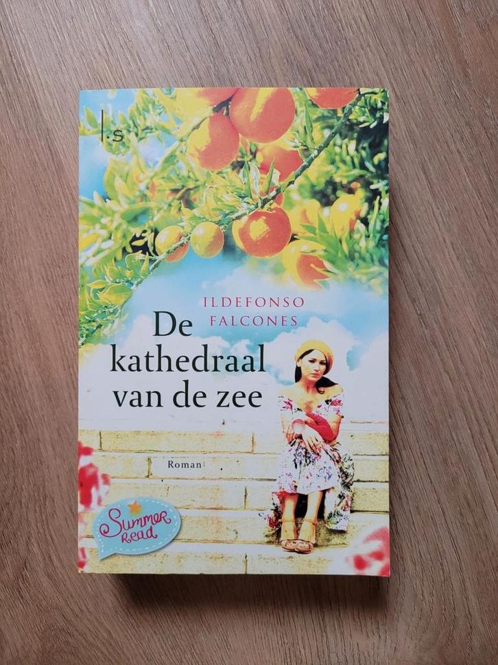Ildefonso Falcones - De kathedraal van de zee, Boeken, Literatuur, Zo goed als nieuw, Ophalen of Verzenden
