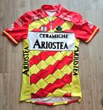 Maillot de vélo vintage Ariostea, Enlèvement