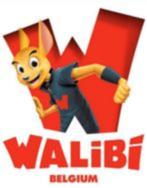 10x Walibi tickets voor 07/12/2024, Tickets en Kaartjes