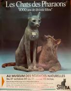 les chats, Ophalen of Verzenden, Nieuw