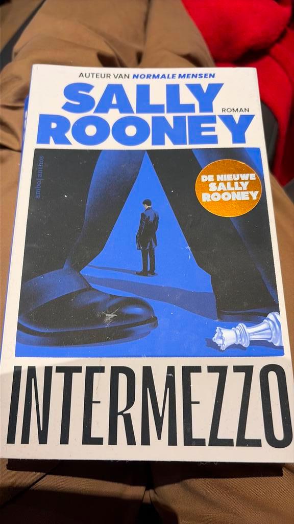 Sally Rooney - Intermezzo, Boeken, Literatuur, Ophalen