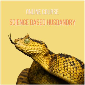 ONLINE reptielen lessen voor volwassenen! beschikbaar voor biedingen