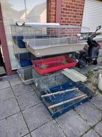 Knaagdier kooien, konijn kooi , transport kooi, cavia kooi, Dieren en Toebehoren, Ophalen, Zo goed als nieuw, Kooi, Cavia