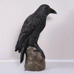Giant Mystic Night Raven – Raaf 99.1 x 53.3 x 149.9 cm, Verzamelen, Dierenverzamelingen, Nieuw, Ophalen of Verzenden