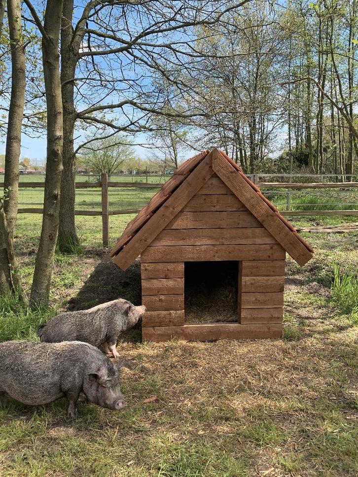Dierenverblijven op maat, Dieren en Toebehoren, Overige Dieren-accessoires, Nieuw, Ophalen of Verzenden