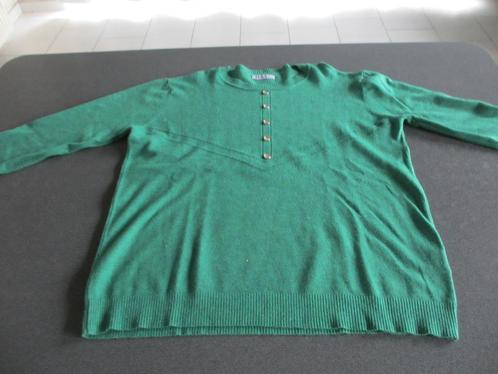 groene dames pull, Kleding | Dames, Truien en Vesten, Zo goed als nieuw, Maat 46/48 (XL) of groter, Groen, Ophalen