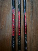 Set van Arca zcarp power kant hengels, Watersport en Boten, Hengelsport | Witvissen, Ophalen