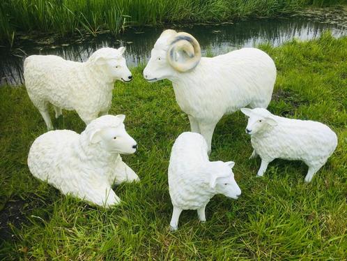 Schaap lam ram schaap tuinbeeld, Tuin en Terras, Tuinbeelden, Nieuw, Dierenbeeld, Kunststof, Ophalen of Verzenden
