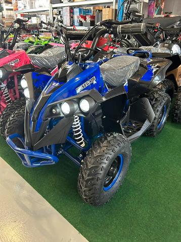 Nieuwe Ultra Renegade electrische quad in 7 kleuren  beschikbaar voor biedingen