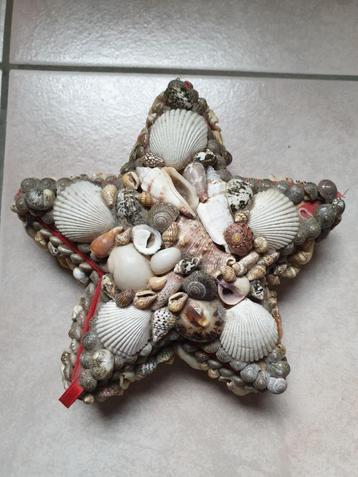 Ster Opbergdoos Box Schelpen beschikbaar voor biedingen