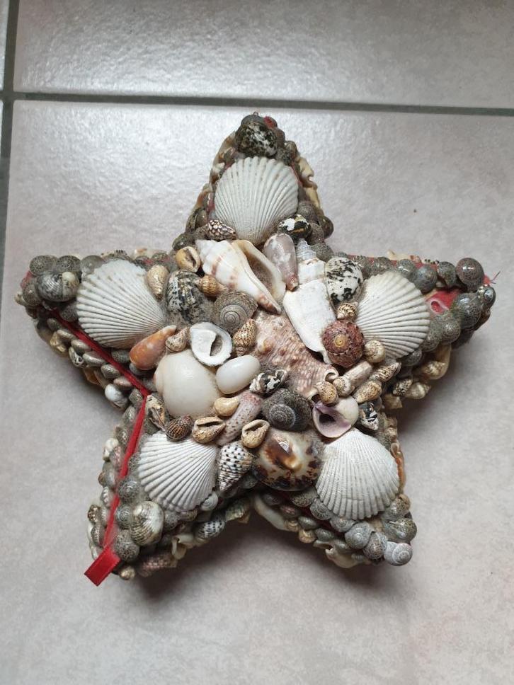 Ster Opbergdoos Box Schelpen, Huis en Inrichting, Woonaccessoires | Schalen en Manden, Gebruikt, Mand, Overige vormen, Overige materialen