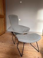 Bird Bertoya fauteuil voor Knoll, Ophalen, Gebruikt, Design 50's, Minder dan 75 cm