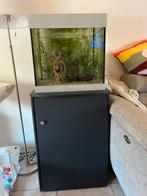 Aquarium 70L, Ophalen, Gebruikt