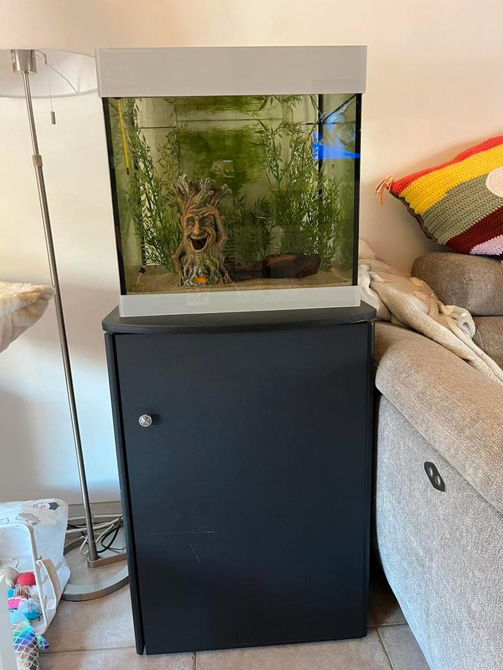 Aquarium 70L, Dieren en Toebehoren, Vissen | Aquaria en Toebehoren, Gebruikt, Ophalen