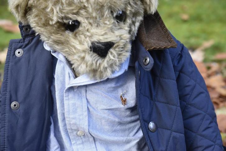 Teddybeer Beertus, Verzamelen, Beren en Cherished Teddies, Zo goed als nieuw, Stoffen beer, Overige merken, Ophalen of Verzenden