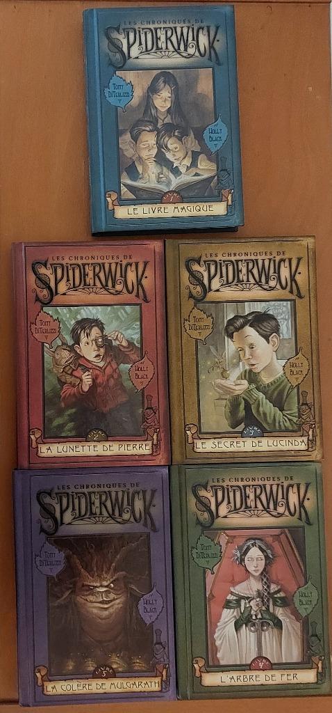 Spiderwick, Boeken, Kinderboeken | Jeugd | 10 tot 12 jaar, Zo goed als nieuw, Fictie, Ophalen of Verzenden